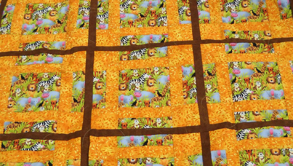 Lions and Tigers and ... Zebras ... Oh, my!